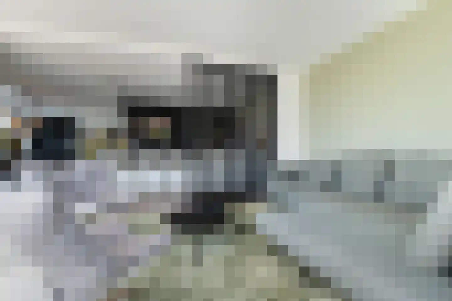 Achter-Catwijk 17 Pijnacker thumbnail 17