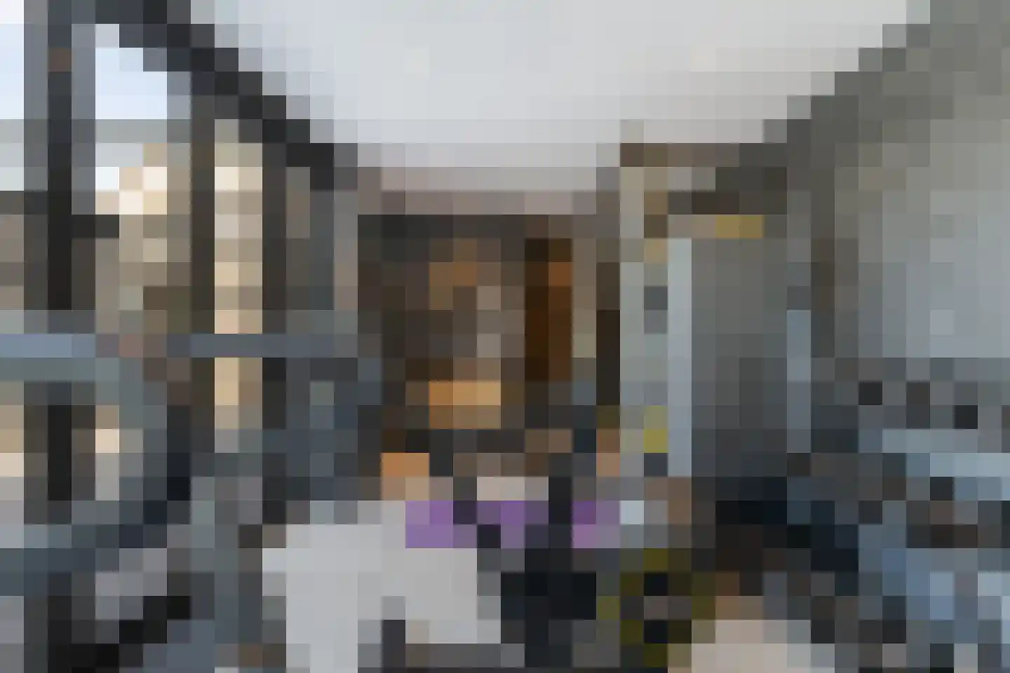 Achter-Catwijk 17 Pijnacker thumbnail 47