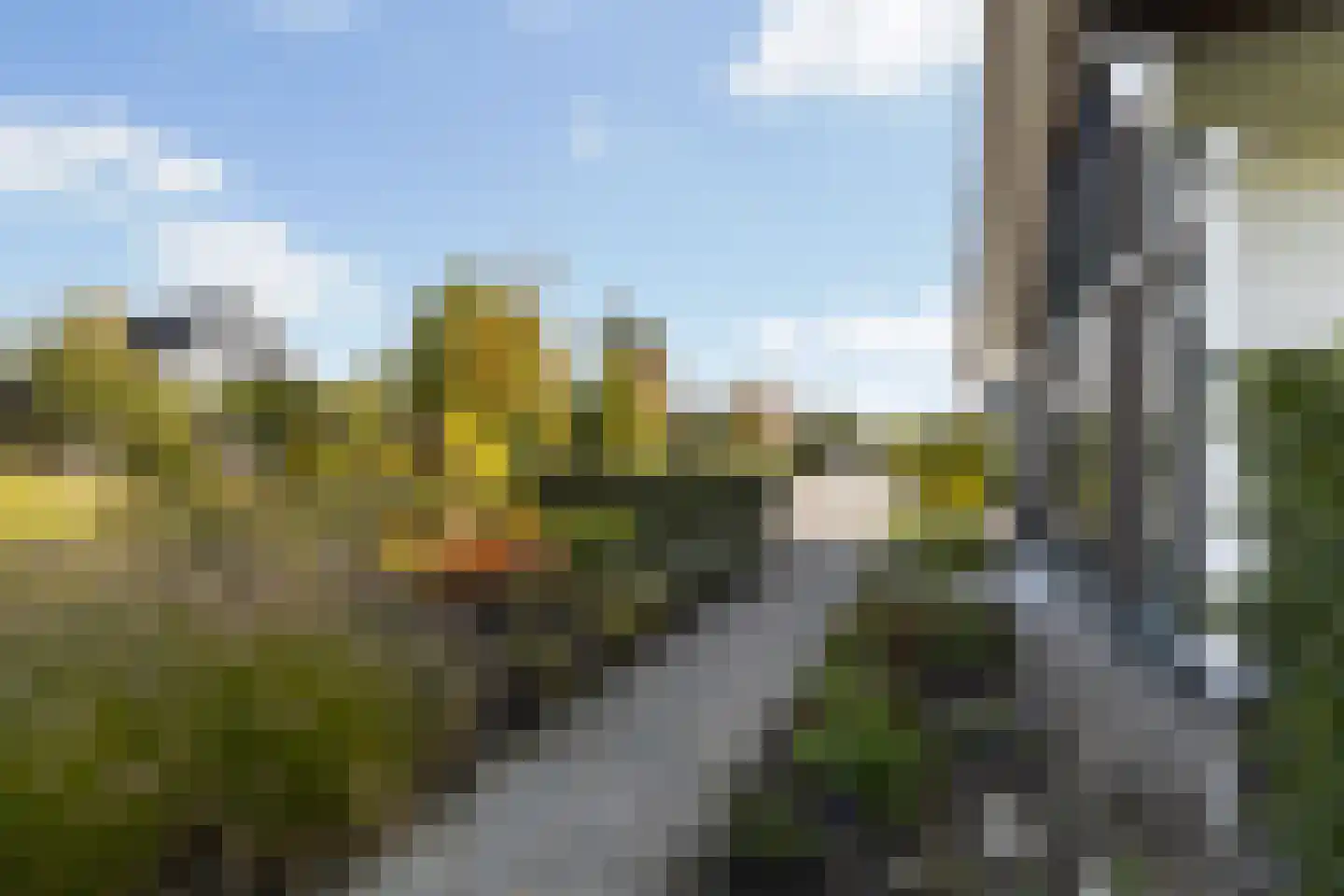 Achter-Catwijk 17 Pijnacker thumbnail 83