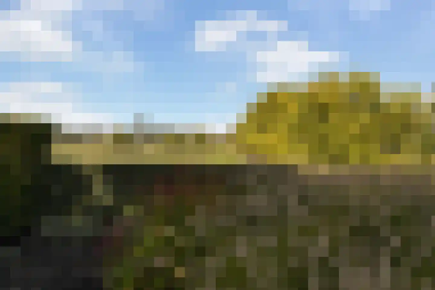 Achter-Catwijk 17 Pijnacker thumbnail 84
