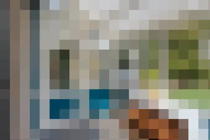 Achter de Hoven 13 Dwingeloo thumbnail 13