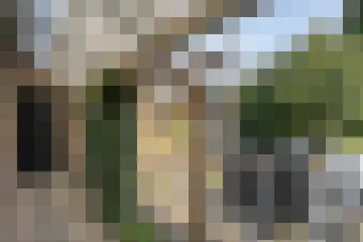 Achter de Hoven 13 Dwingeloo thumbnail 37