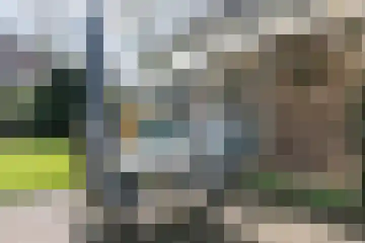 Achter de Hoven 13 Dwingeloo thumbnail 39