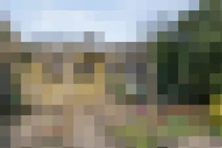 Achter de Hoven 13 Dwingeloo thumbnail 41