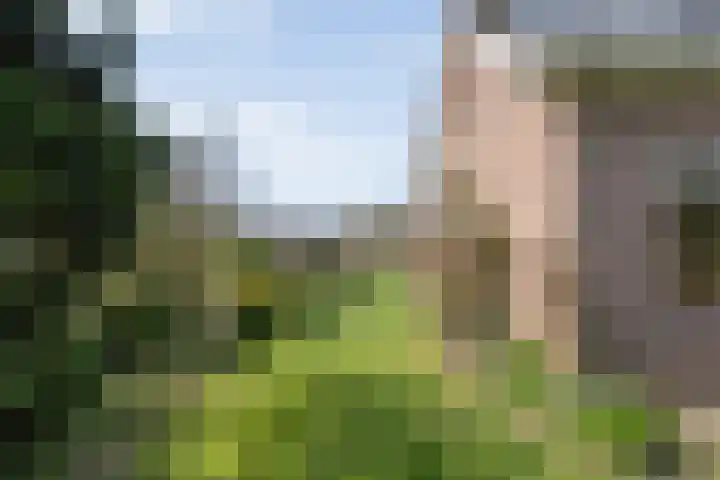 Achter de Hoven 13 Dwingeloo thumbnail 44