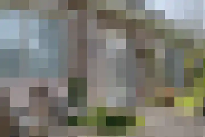 Achter de Hoven 13 Dwingeloo thumbnail 47