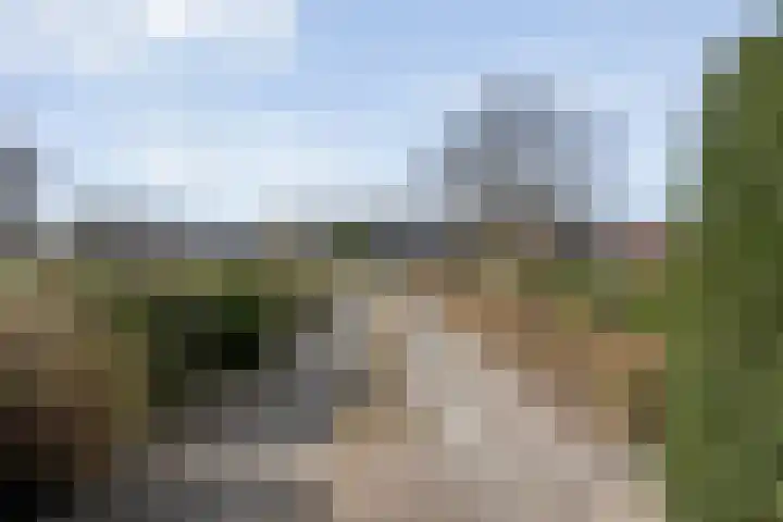 Achter de Hoven 13 Dwingeloo thumbnail 55