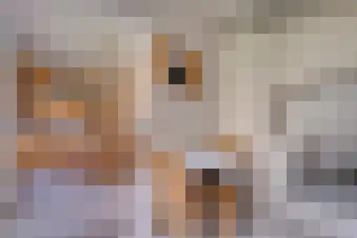 Achter de Hoven 13 Dwingeloo thumbnail 9