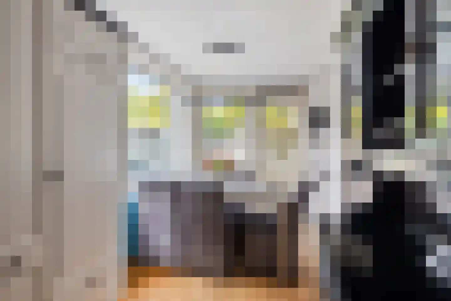 Achter de Hoven 17 Deventer thumbnail 10
