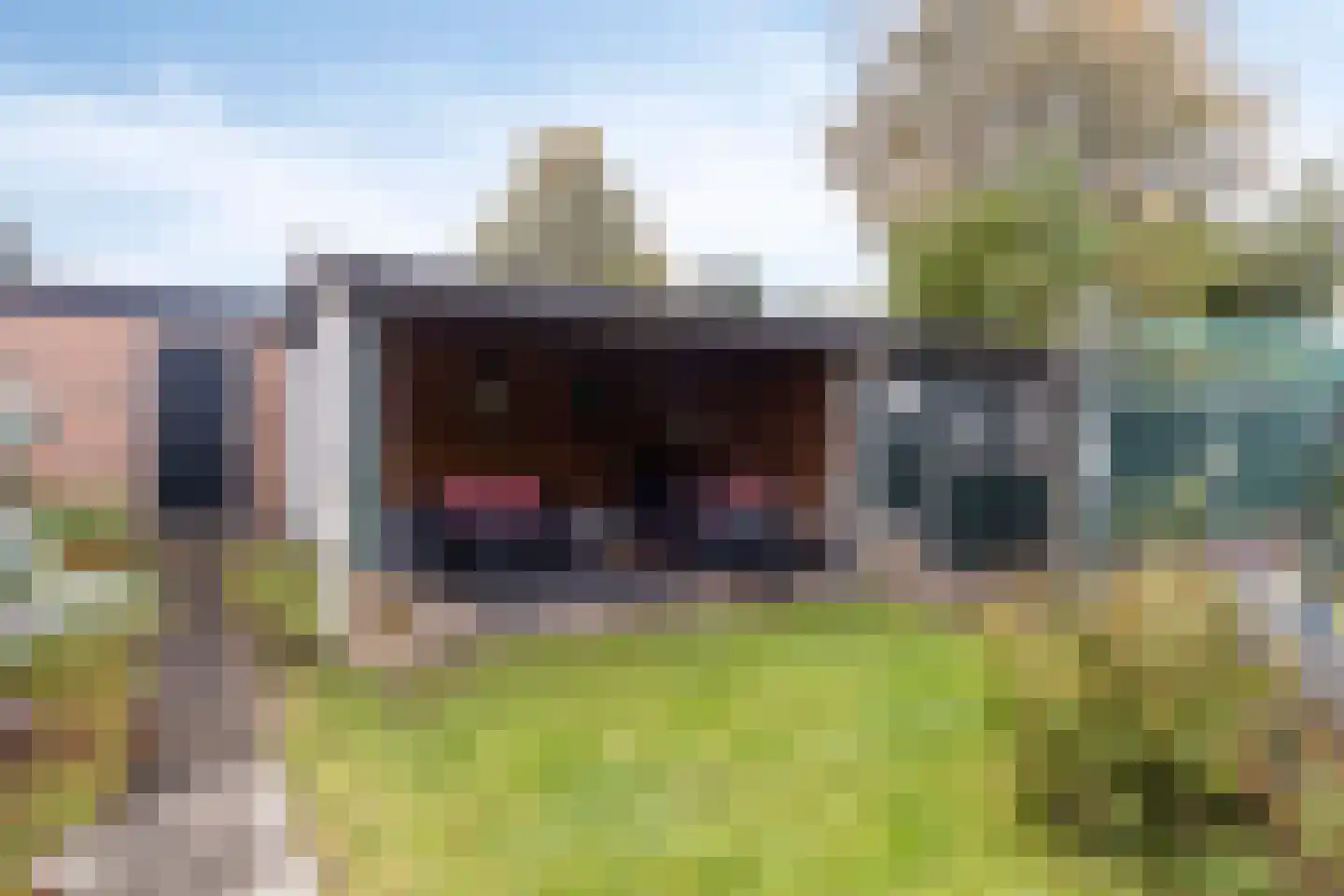 Achter de Hoven 17 Deventer thumbnail 23