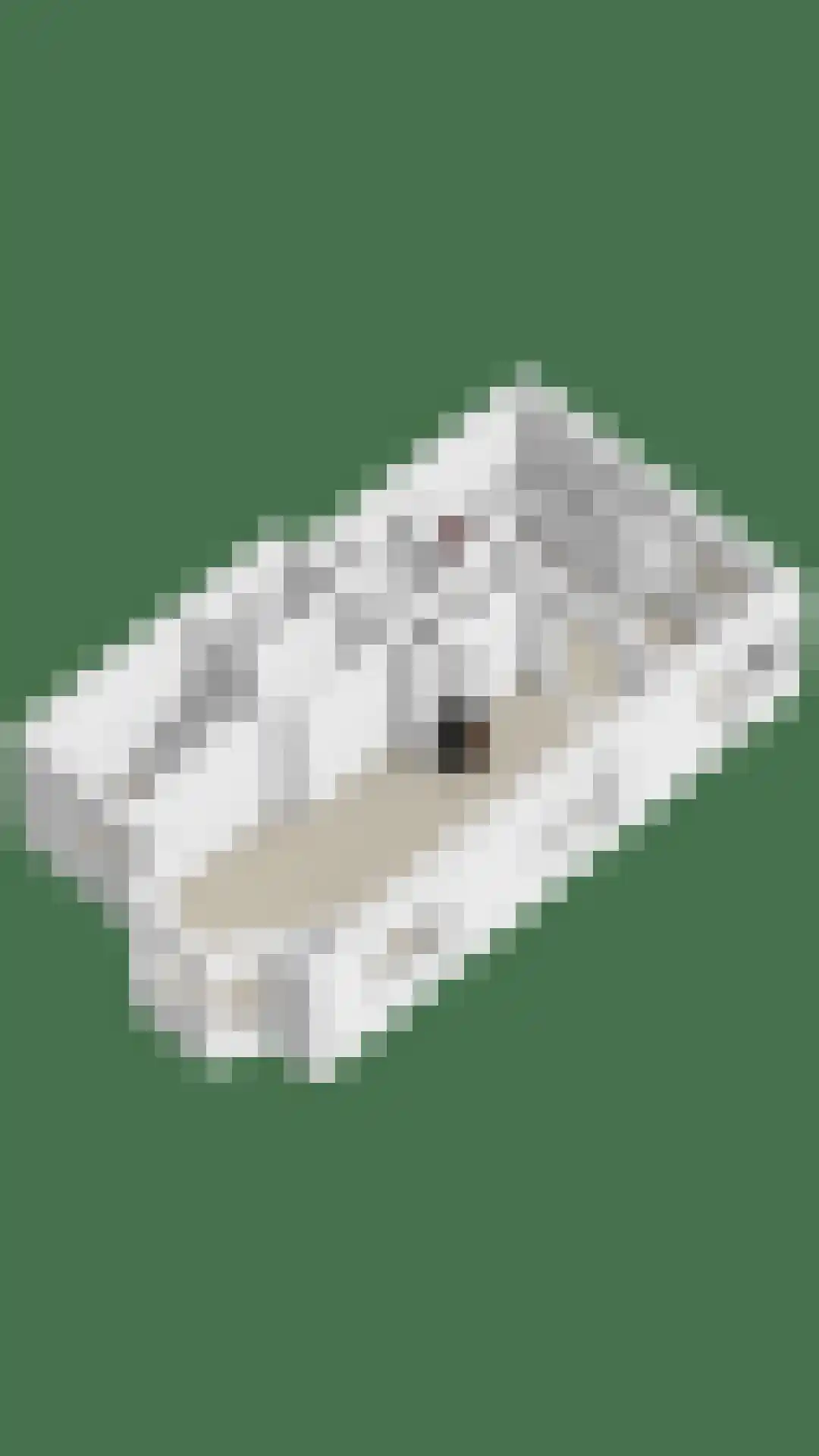 Achter de Hoven 17 Deventer thumbnail 32
