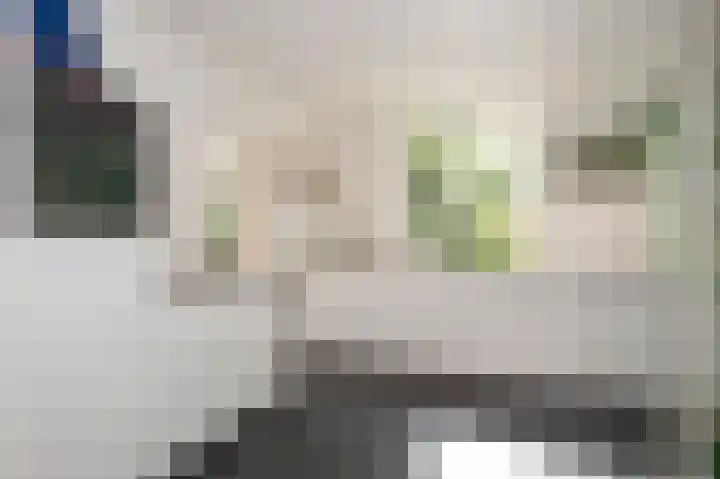 Achter de Hoven 33 Buchten thumbnail 14