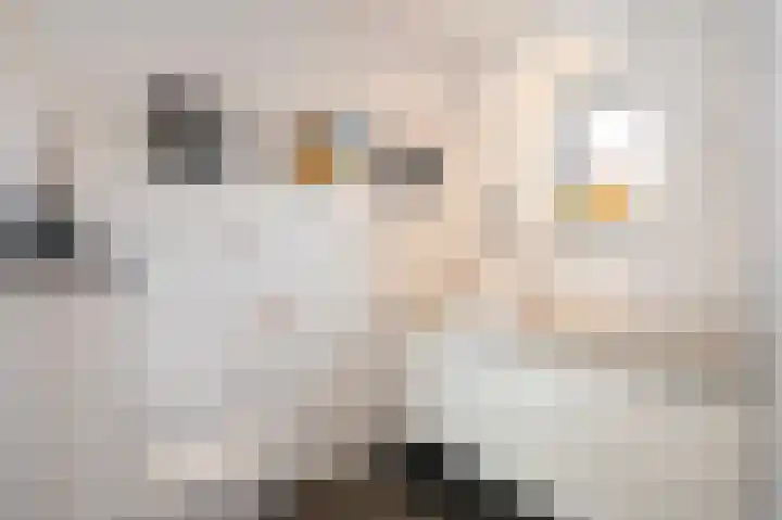 Achter de Hoven 33 Buchten thumbnail 21