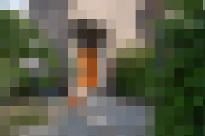 Achter de Hoven 33 Buchten thumbnail 4