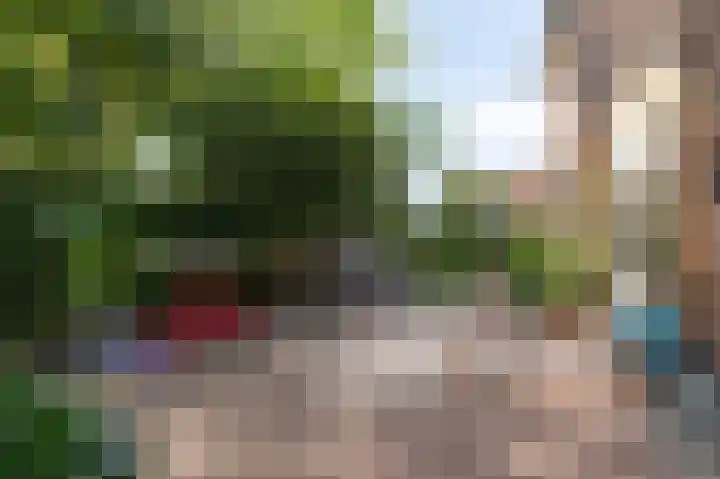 Achter de Hoven 33 Buchten thumbnail 41