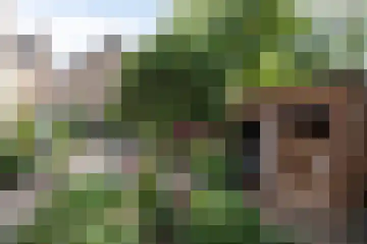 Achter de Hoven 33 Buchten thumbnail 44