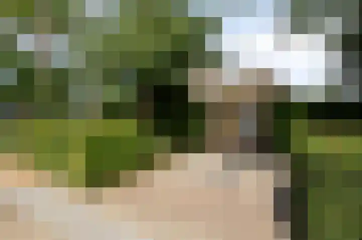 Achter de Hoven 33 Buchten thumbnail 47