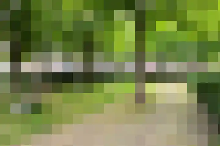 Achter de Kamp 29 Amersfoort thumbnail 33