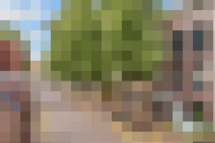 Achter de Kamp 30 B Amersfoort thumbnail 7