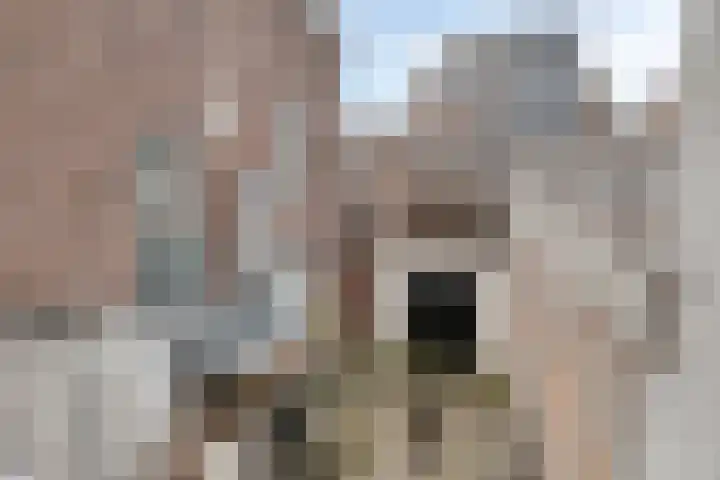 Achter de Kerk 1 Purmerend thumbnail 42