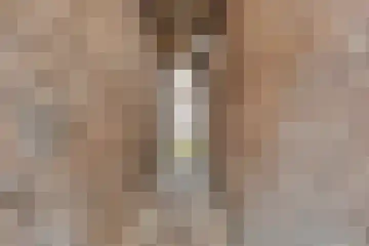 Achter de Kerk 1 Purmerend thumbnail 44