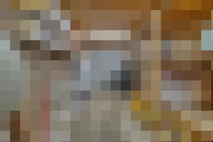 Achter de Kerk 1 Purmerend thumbnail 48
