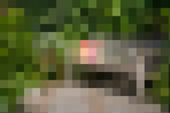 Achter de Kerk 2 Delden thumbnail 43