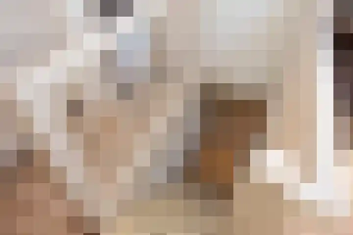 Achter de Kerk 23 Delden thumbnail 27