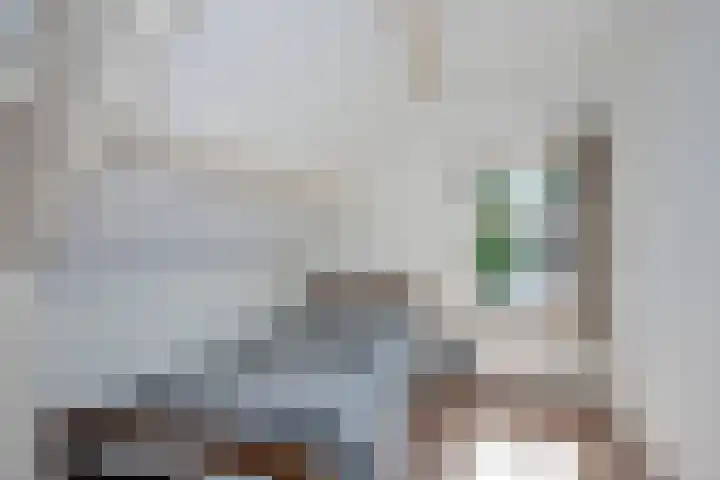 Achter de Kerk 23 Delden thumbnail 30