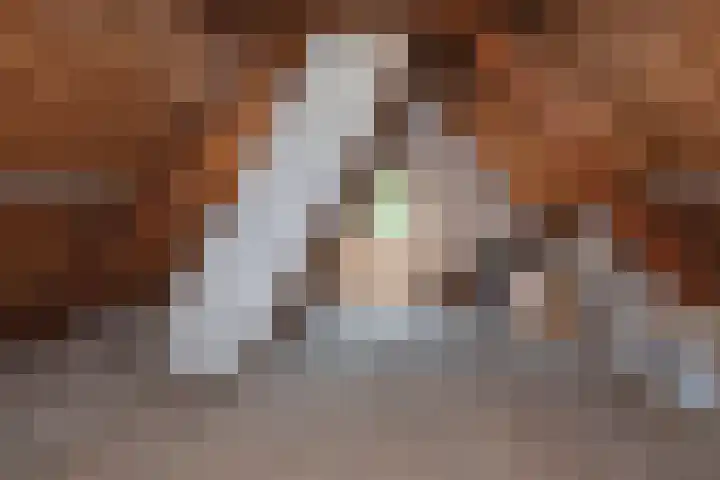 Achter de Kerk 23 Delden thumbnail 37
