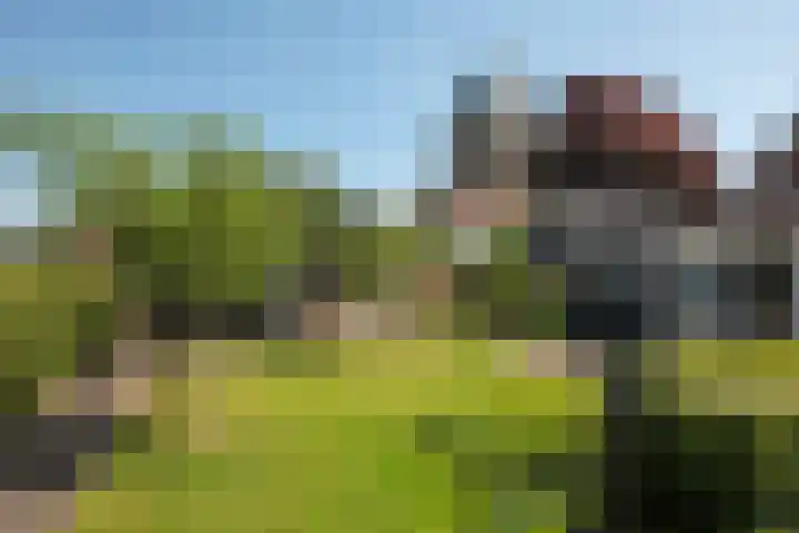 Achter de Kerk 23 Delden thumbnail 40