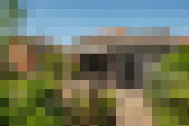 Achter de Kerk 23 Delden thumbnail 42