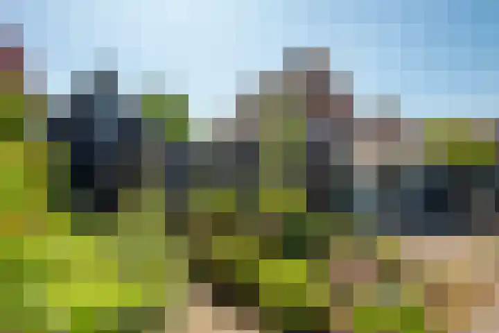 Achter de Kerk 23 Delden thumbnail 44