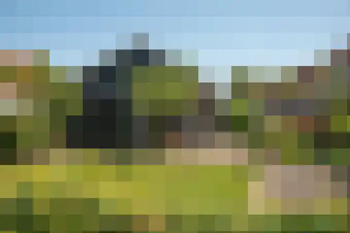 Achter de Kerk 23 Delden thumbnail 45