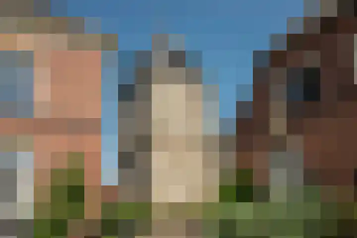 Achter de Kerk 23 Delden thumbnail 54