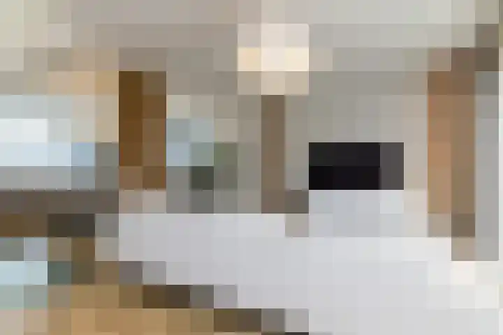 Achter Lotsheuf 23 Banholt thumbnail 13