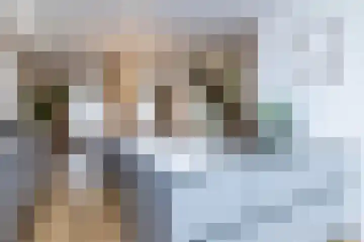 Achter Lotsheuf 23 Banholt thumbnail 14