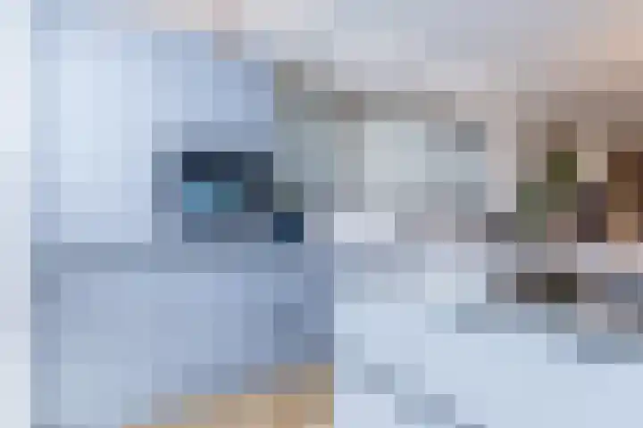 Achter Lotsheuf 23 Banholt thumbnail 16