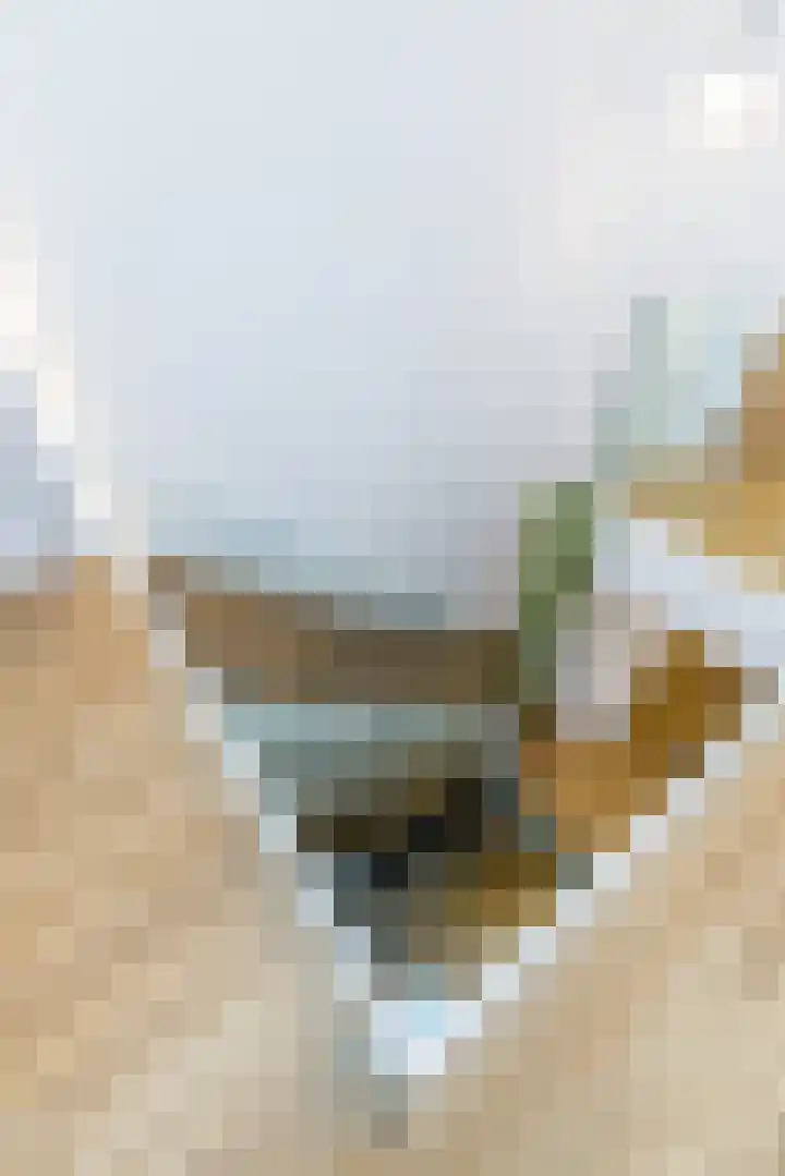Achter Lotsheuf 23 Banholt thumbnail 21