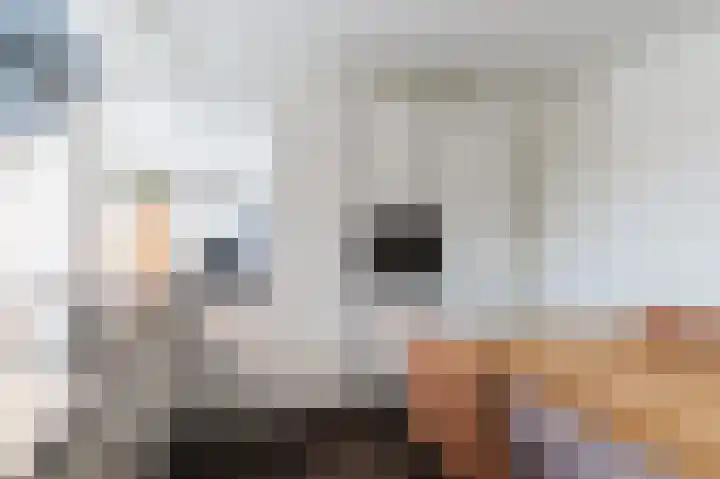 Achter 't Schop 45 Vught thumbnail 13