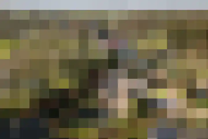 Achterberggaarde 36 Deventer