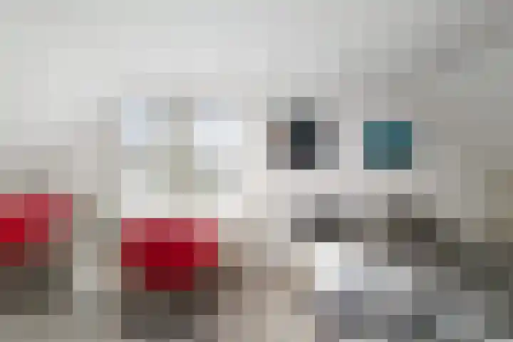 Achterberggaarde 36 Deventer thumbnail 31
