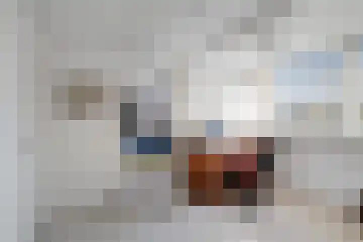 Achterberggaarde 36 Deventer thumbnail 34