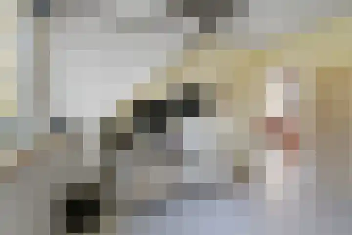 Achterberggaarde 36 Deventer thumbnail 38
