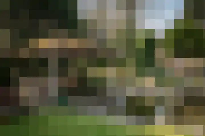 Achterberggaarde 36 Deventer thumbnail 42