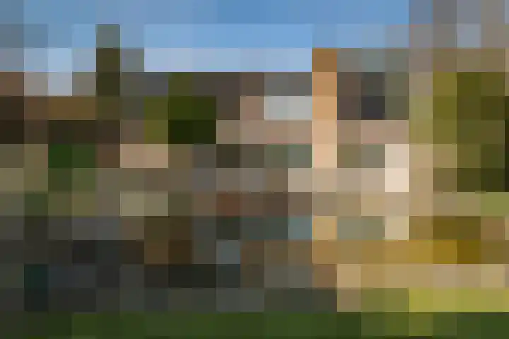 Achterberggaarde 36 Deventer thumbnail 43