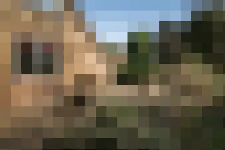 Achterberggaarde 36 Deventer thumbnail 49