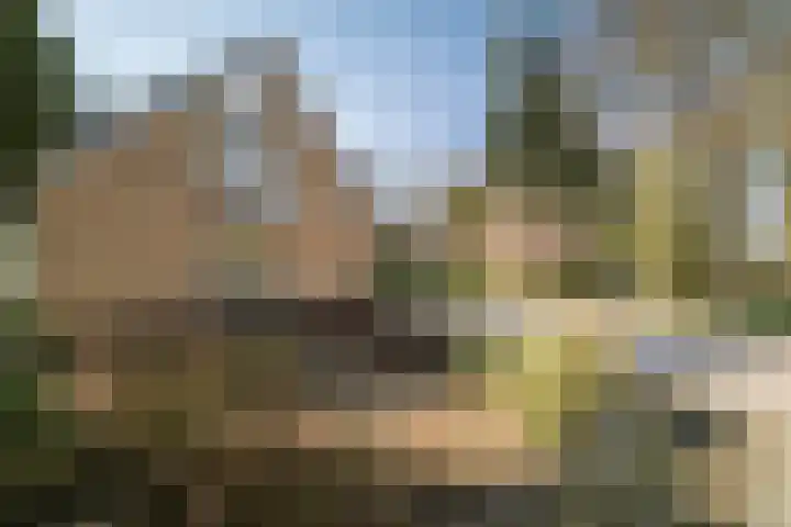 Achterberggaarde 36 Deventer thumbnail 52