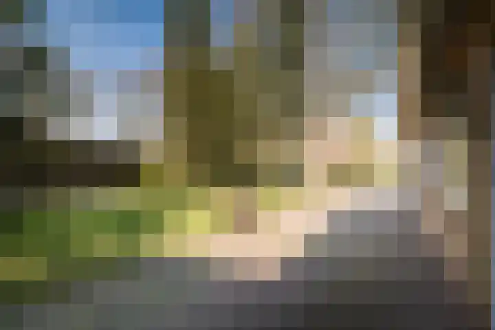 Achterberggaarde 36 Deventer thumbnail 53