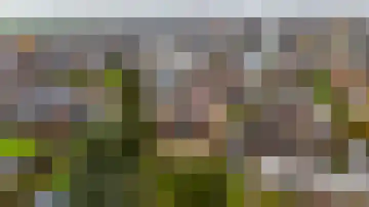 Achterbos 89 Vinkeveen thumbnail 21
